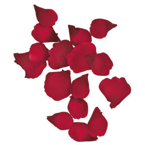 100 Rose Petals - Picture 1 of 4